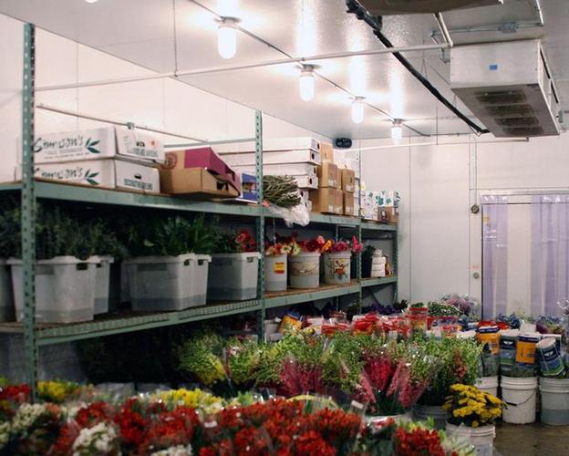 冷庫(kù)在鮮花保鮮中的關(guān)鍵作用與操作指南