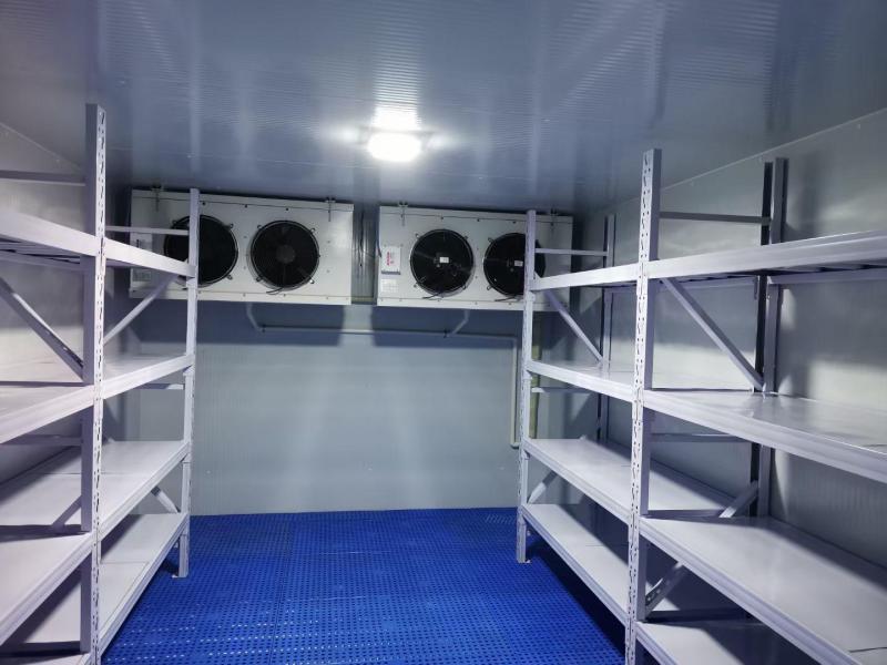 智慧冷鏈基石：冷庫類型精準選擇指南與應用場景深度解析